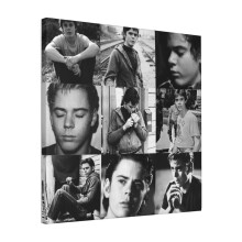 Canvas Print Only Ponyboy Wall Art Poster Room Decor 18x18 inch No Frame