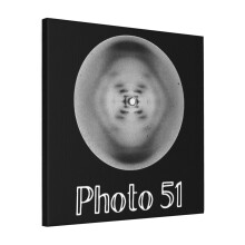 Canvas Print Only Photo 51 X-ray Diffraction Of DNA By Rosalind Franklin, Raymond Gosling Nature Wall Art Poster Room Decor 18x18 inch No Frame