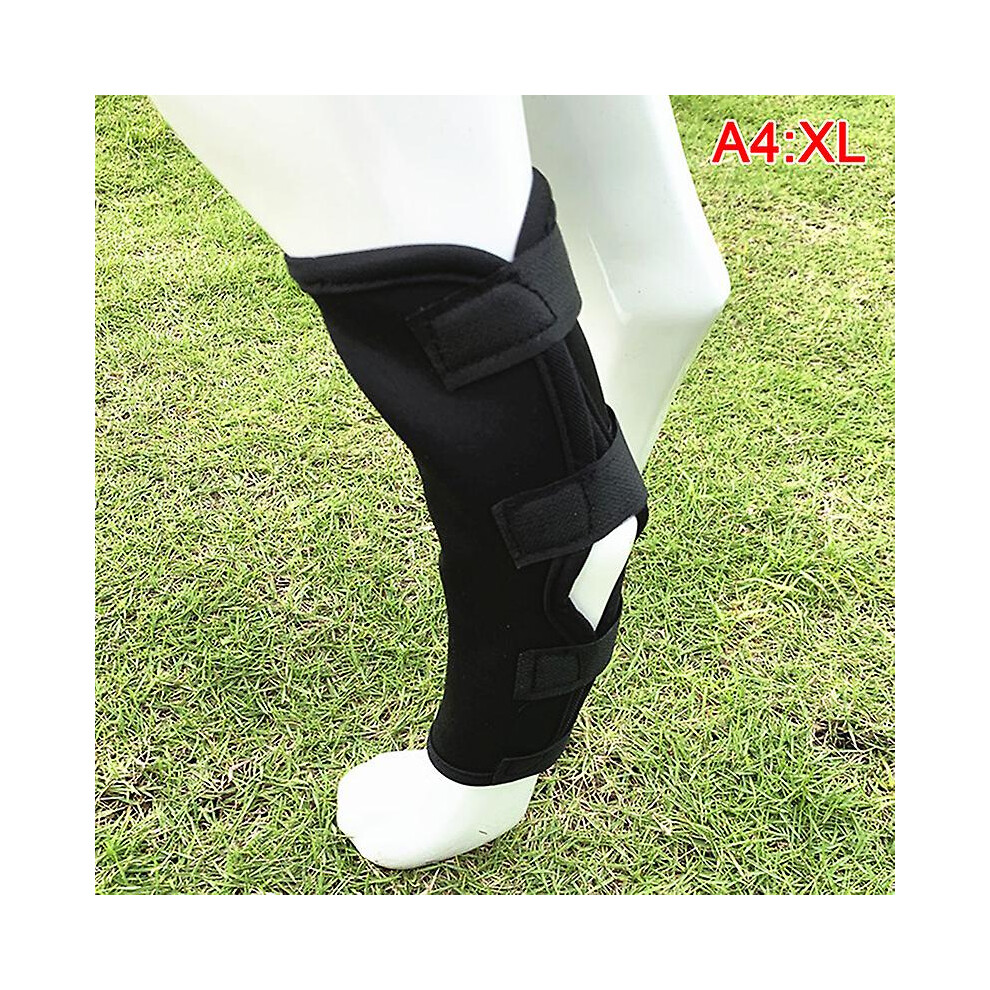 Pet Dog Bandages Dog Injurie Leg Knee Brace Strap Protection For Dogs Joint