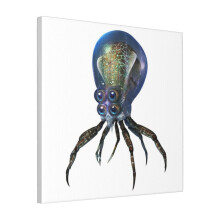 Canvas Print Only Crabsquid Wall Art Poster Room Decor 18x18 inch No Frame