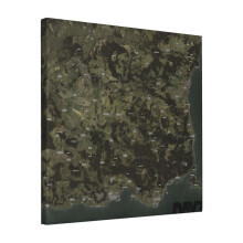 Canvas Print Only Day Z Map Wall Art Poster Room Decor 18x18 inch No Frame