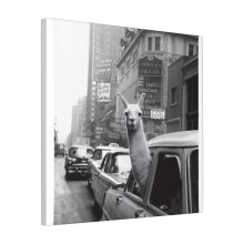 Canvas Print Only New York Llama Wall Art Poster Room Decor 18x18 inch No Frame