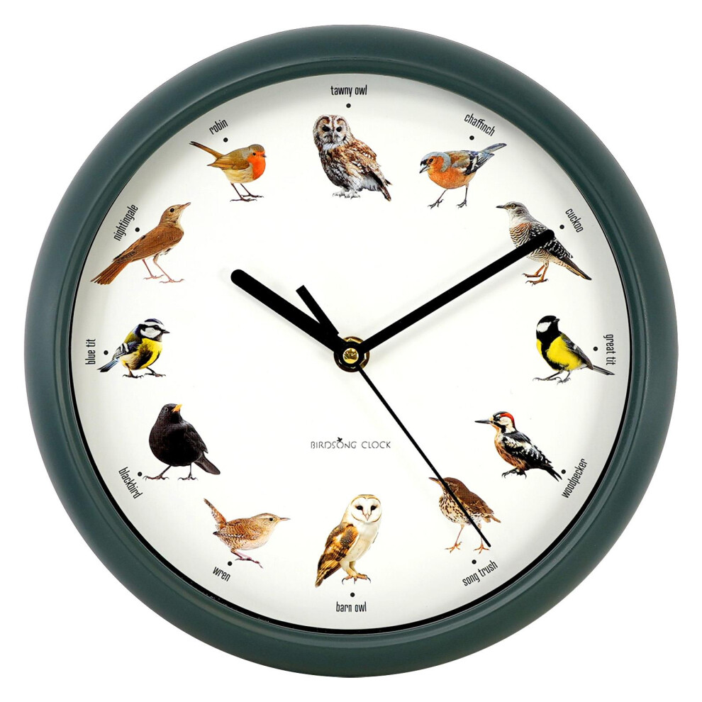 GEEZY Chiming Bird Wall Clock Cuckoo Hanging Talking Singing Clock 12 Bird Species