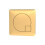 NES Home Nuie Brushed Brass Square Concealed Cistern Flush Button 1