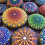 Mandala Dotting Stencil Tools Rock Painting Kit Ball Stylus Dotting Tools Include Stencil, Paint Tray (85 Pack) 8
