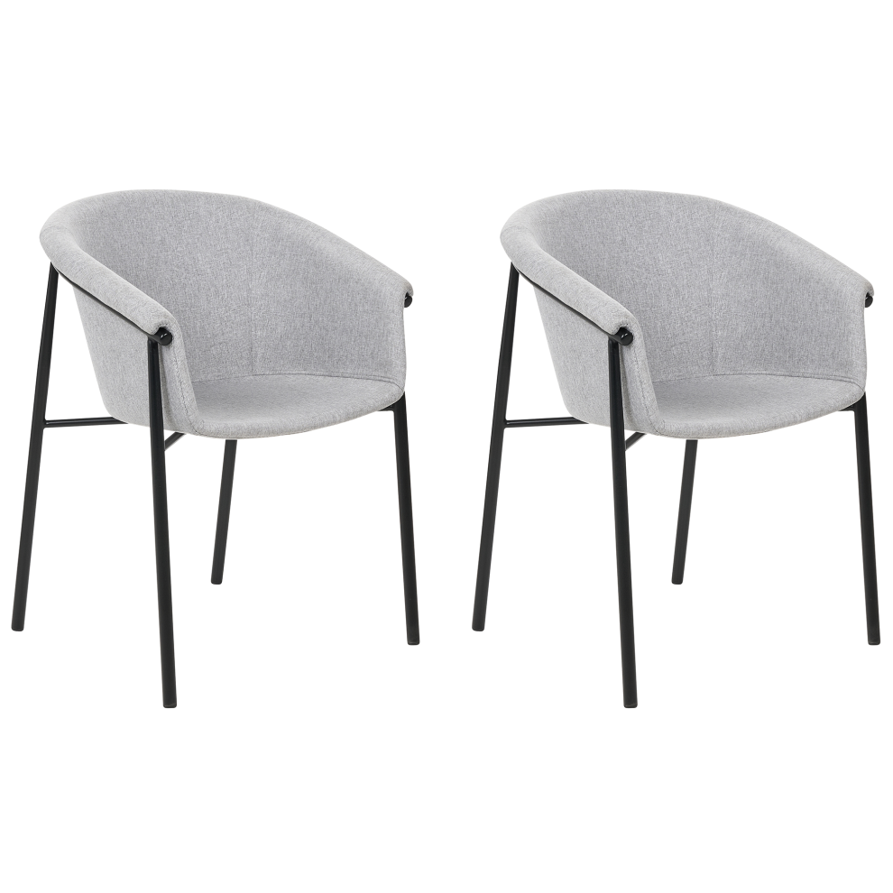Set of 2 Dining Chairs AMES Light Grey
