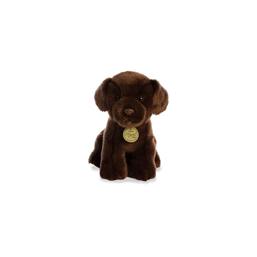 Aurora - Miyoni - 11" Chocolate Lab Pup, Brown