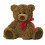 Aurora World Aurora Snuggly Coco Αρκούδος Λούτρινο - Άνετος Σύντροφος - Δημιουργικό Παιχνίδι - Καφέ 33 εκ. 1