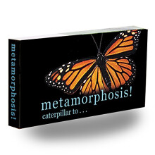 Fliptomania larv till monarkfjril metamorfos flipbook