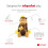 Tonies Curious George Audio Play Character 3