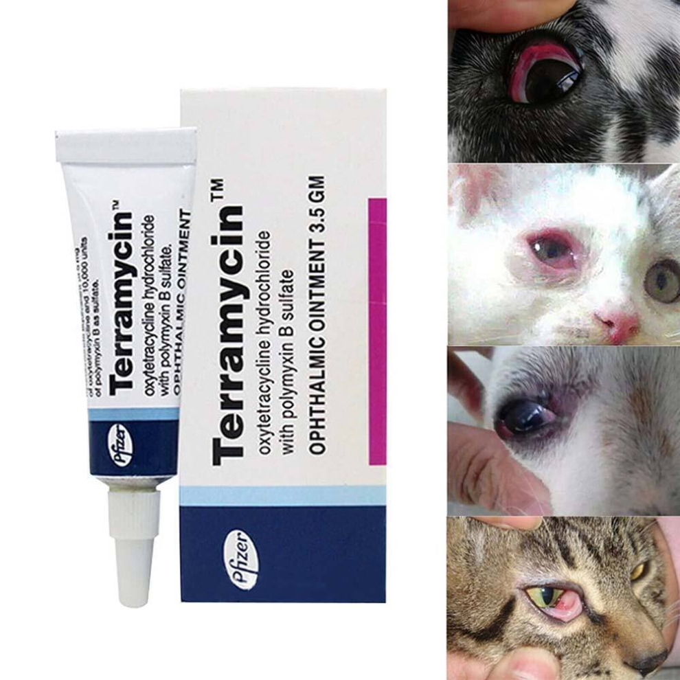 Pet Eye Ophthalmic Ointment Cat Dog Care Hydrochloride