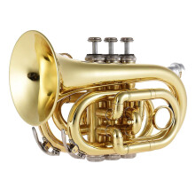 Mini Pocket Trumpet Bb Flat Brass Wind Instrument with Mouthpiece Gloves Cleaning Cloth Carrying Cas