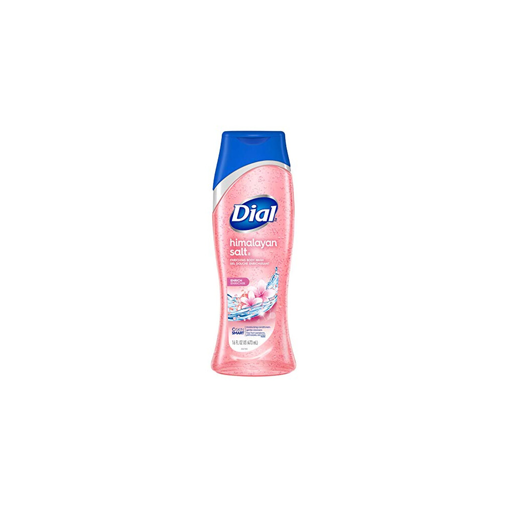 Srd - Dial Pink Dial Body Wash, Skin Therapy Himalayan Salt & Water Lily, 16 Fluid Ounces