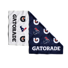 Prosop Houston Texans