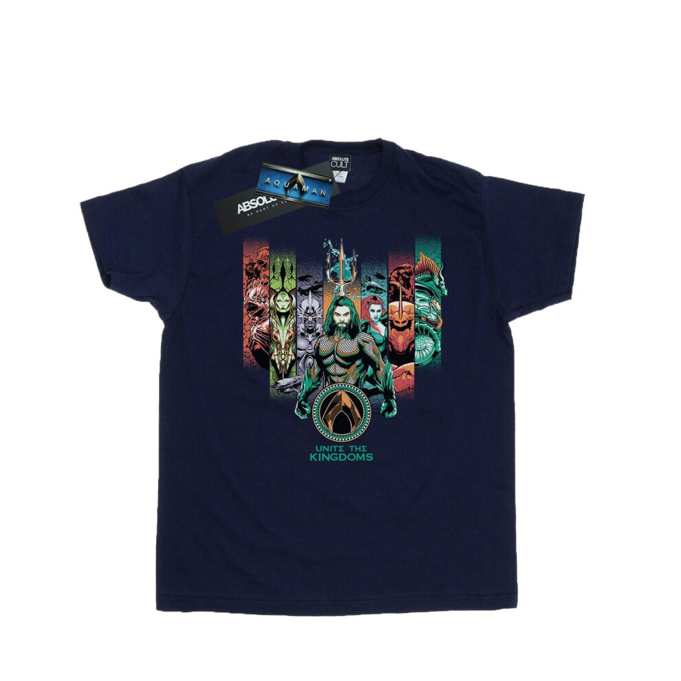 Aquaman Unite The Kingdoms Cotton Boyfriend T-Shirt