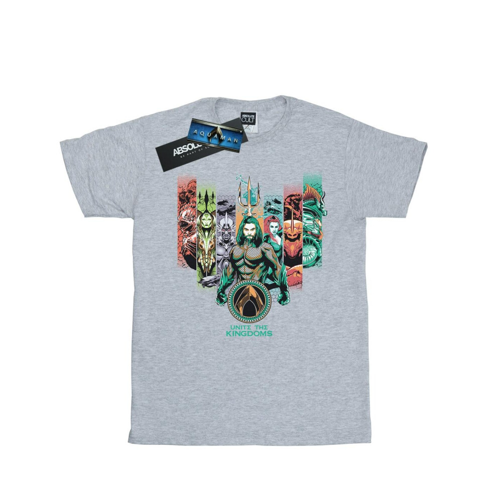 Aquaman Unite The Kingdoms Cotton Boyfriend T-Shirt