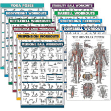 11 Pack - Exercise Poster Set: Dumbbell, Suspension, Kettlebell, Resistance Bands, Stretching, Bodyweight, Barbell, Yoga, Exercise Ball, Muscular Syst