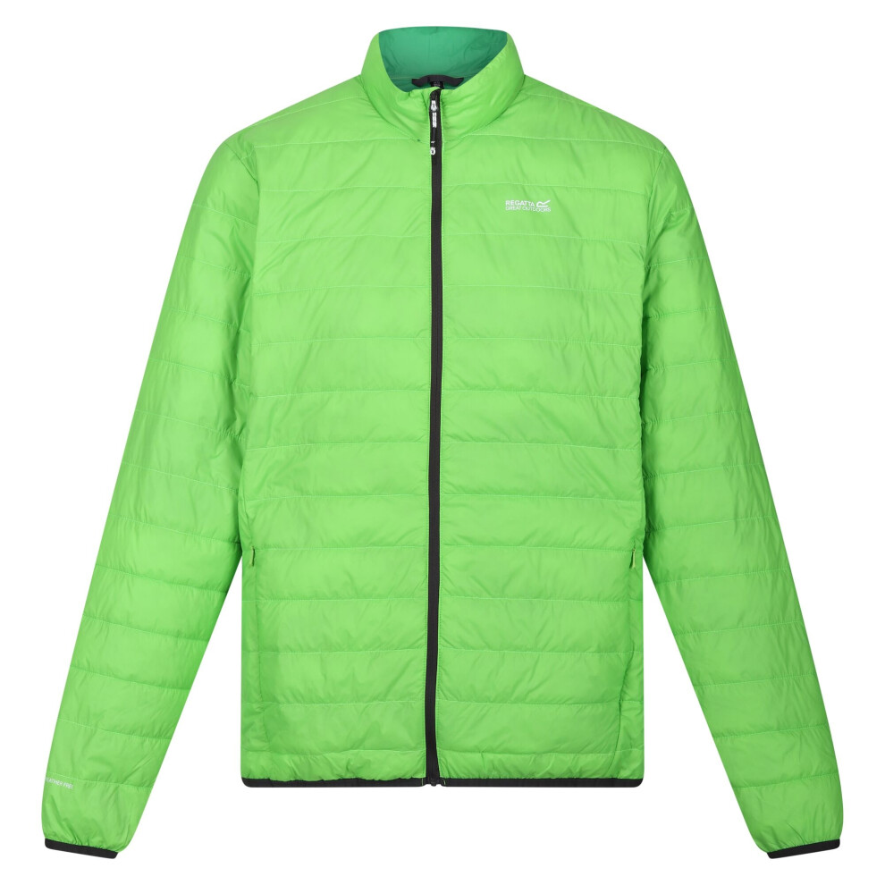 (L, Jasmine Green/Field Green) Regatta Mens Hillpack Quilted Insulated Jacket