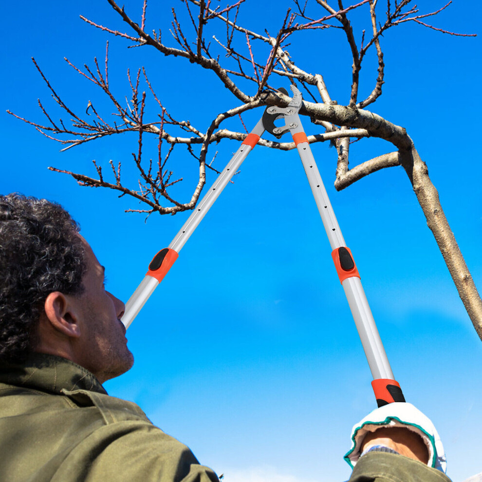 Telescopic Anvil Garden Tree Loppers - Heavy Duty Ratchet Lopper Extendable 690mm to 1000mm for Pruning Tree Hedge Branch