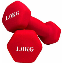 (1kgs Red ) Neoprene Hand Dumbbells Weights Pair Home Gym