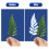 Cyanotype Paper, 30 Pcs A5 Sun Print Paper Kit, High Sensitivity Sun Print Nature Printing Paper Solar Drawing Pape 7