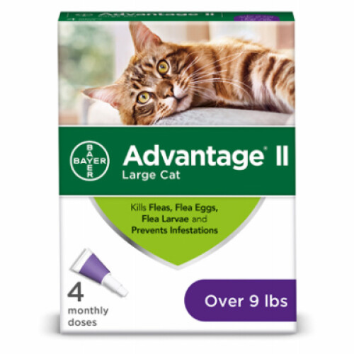 Flea Prevention for Large Cats, Over 9-Lbs., 4 doses -00724089202246