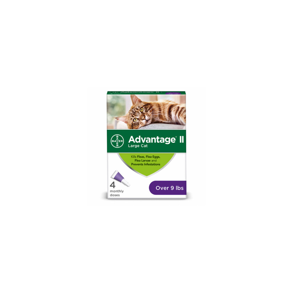 Flea Prevention for Large Cats, Over 9-Lbs., 4 doses -00724089202246