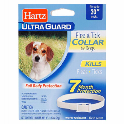 20" WHT Dog Flea Collar -80484