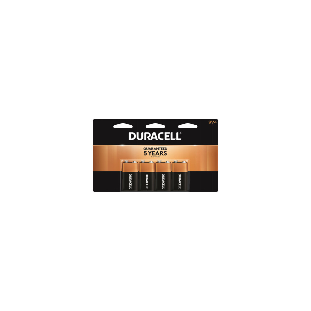 Alkaline Batteries, 9-Volt, 4-Pk. -MN16B4DW