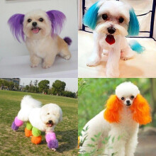 (80g Dog Puppy Dyeing Agent Pet Dog Cat Animals Hair Coloring Vip Dog Hair Dyeing) 80g Dog Puppy Dyeing Agent Pet Dog Cat Animals Hair Coloring Vip Dog Hair Dyeing