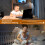 LED-klemlamp 3-tonig licht dimmen USB-klemspot 5