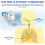 Nebuliser Machine for Adults & Kids, USB-C Rechargeable Nebuliser 7