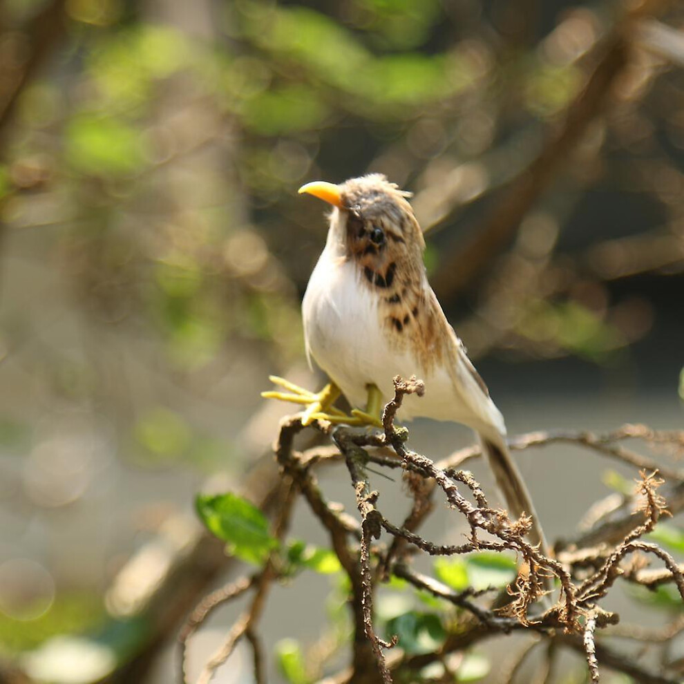 Artificial Bird Feathered Realistic Sparrow Home Garden Tree Decoration 1