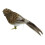 Artificial Bird Feathered Realistic Sparrow Home Garden Tree Decoration 1 3