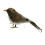 Artificial Bird Feathered Realistic Sparrow Home Garden Tree Decoration 1 2
