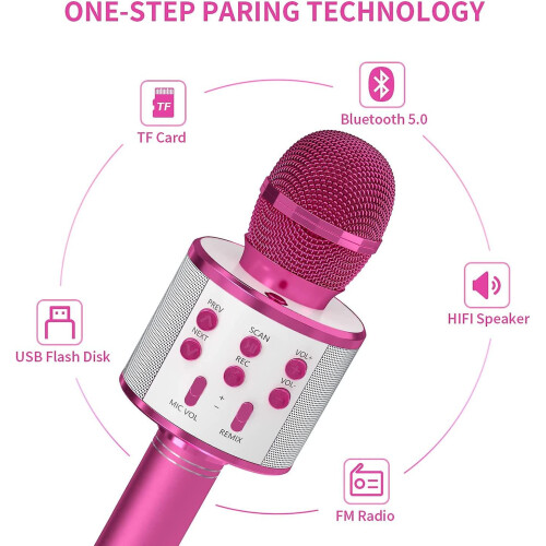 Karaoke Microphone With Speaker - Rose Red 2