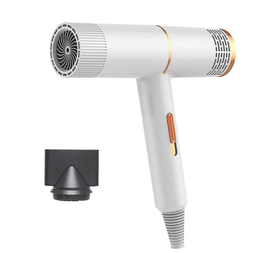 White (White) Professional Hair Dryer Infrared Negative Ionic Blow Dryer Hot