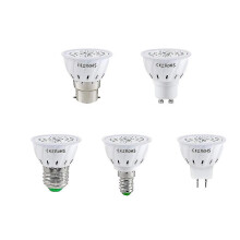 (E14) Led Grow Light Bulb For Indoor Plants - Full Spectrum Lamp Garden Decorate