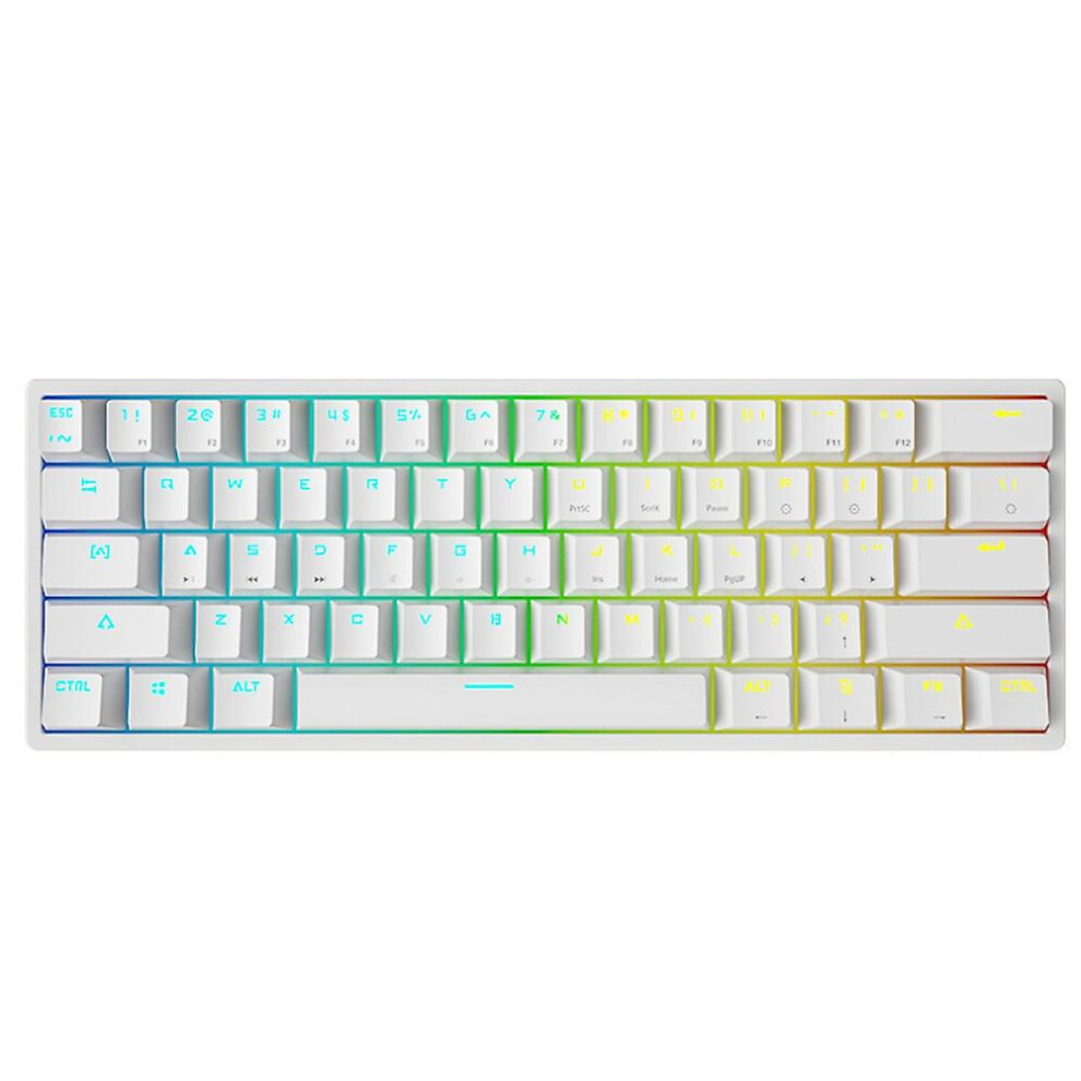 (white) Ryra Mini Gaming Mechanical Keyboard 61 Keys Rgb Hotswap Type-c Wired Gaming Keyboard