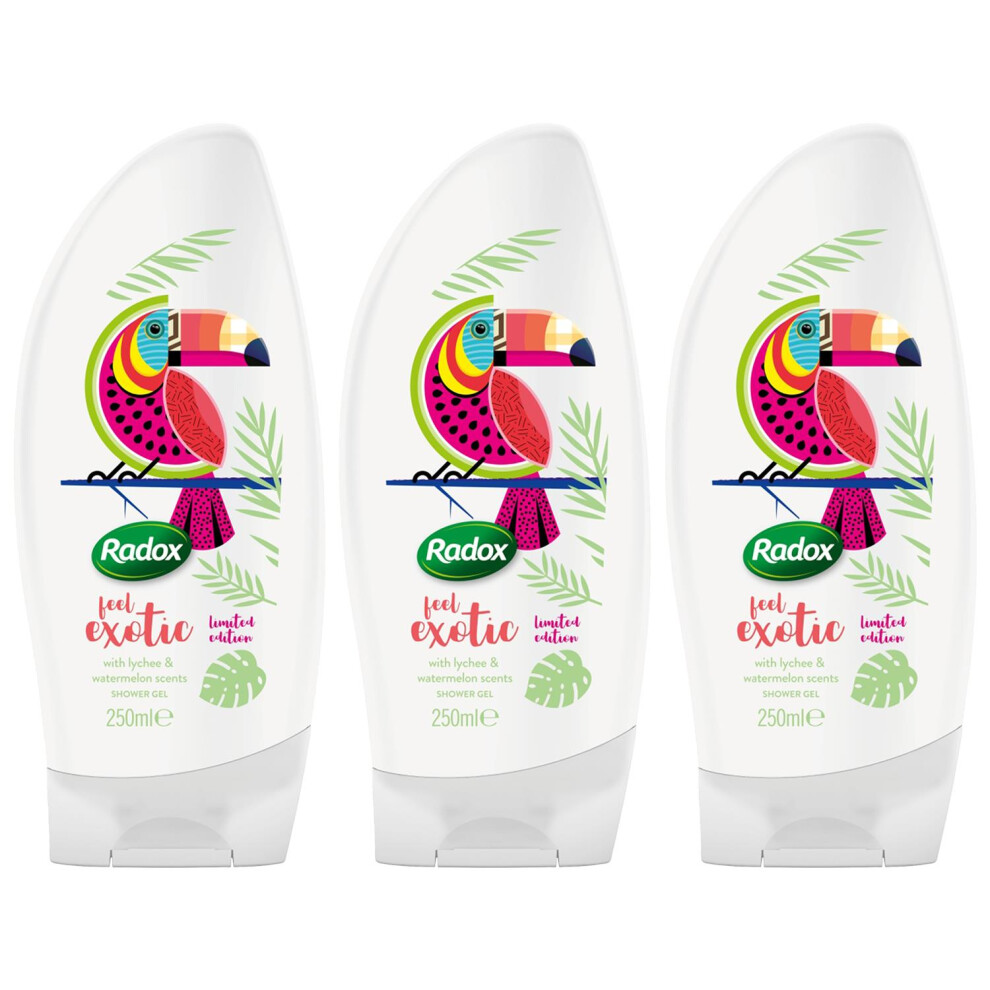 (Buy 3) Radox Feel Exotic Shower Gel 250ml, 3 or 6 Pack