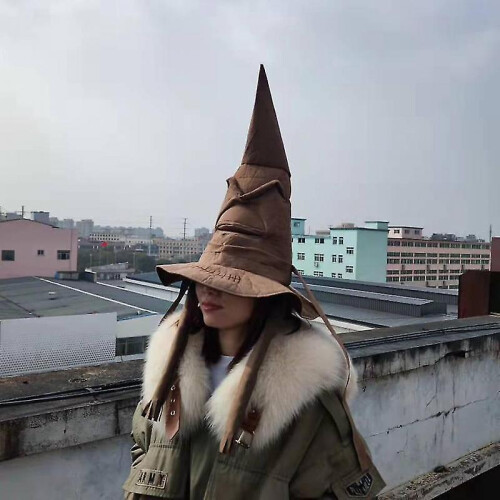 Dww-400 X 380  Mm Harry Potter Magic Talking Hat Beige 2
