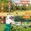 Garden Strimmer Cordless Blades Grass Trimmer Electric Brush Cutter 2