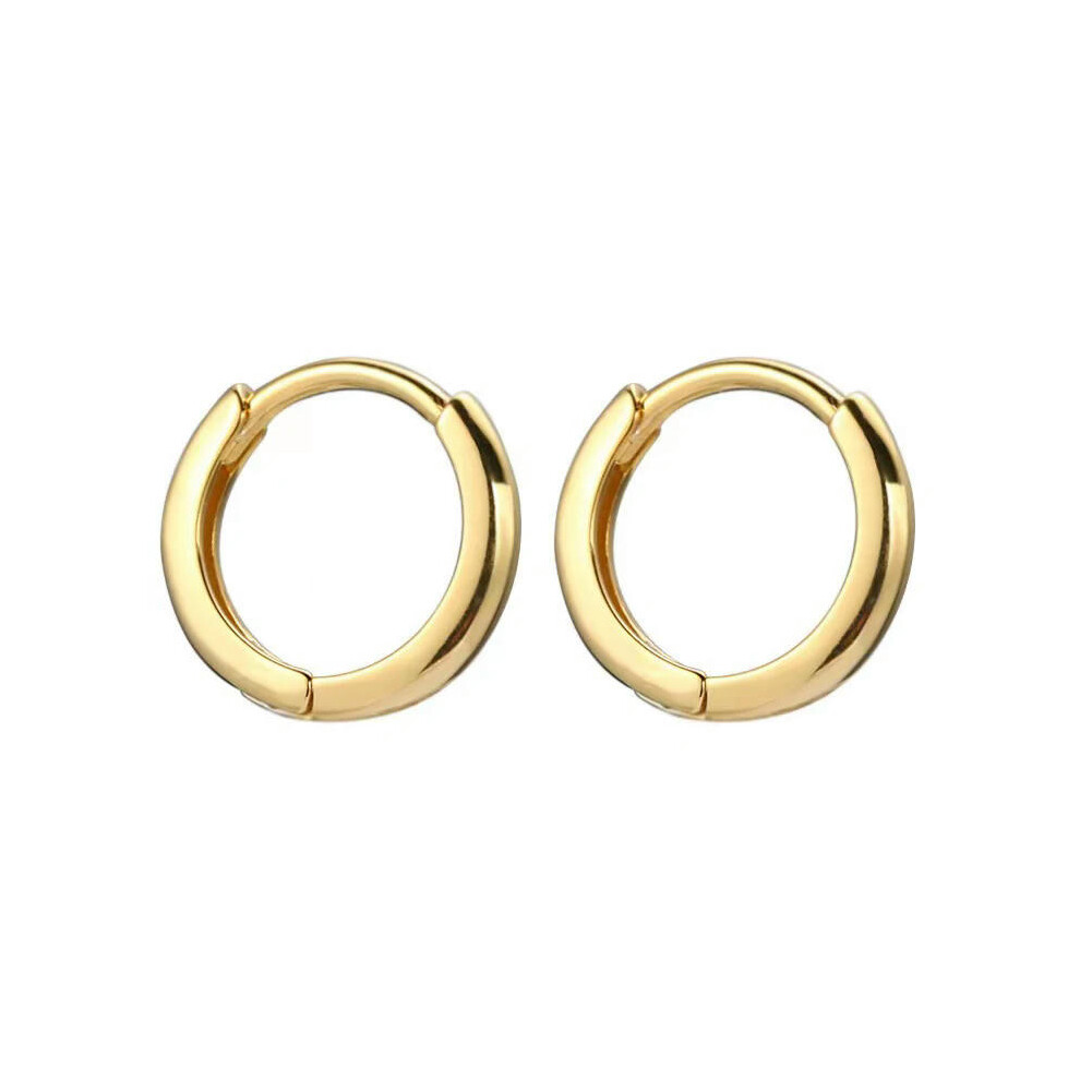 (Y20049 gold, 6mm) 2PCS Stainless Steel Minimal Hoop Earrings Crystal Zirconia Small Huggie Thin Cartilage Earring Helix Tragus Piercing Jewelry