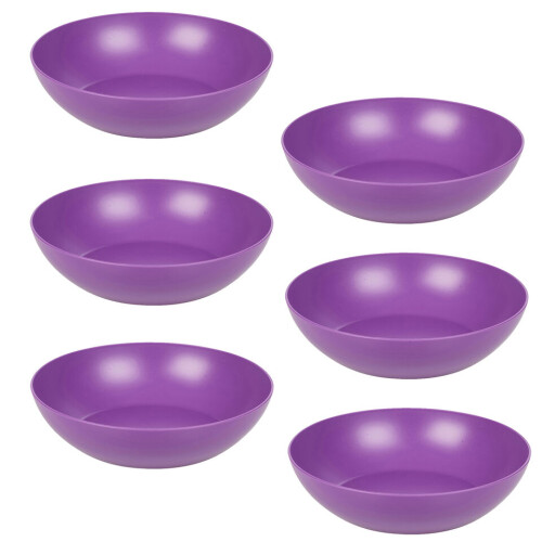 URBN Living (Purple) Unbreakable Plastic Deep Round Reusable Dinner & Picnic Plates 6pcs
