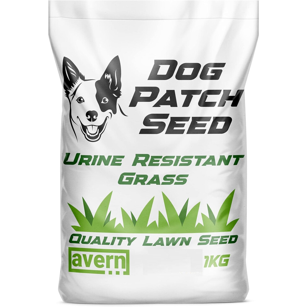 Avern Dog Patch Grass Seed 1KG for Repairing Damaged Turf Overseeding & New lawns.Fast Growing and Hardwearing high Usage Areas & Sports 1KG / 60m2
