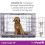 (Large) Pretty Pooch Dog Crate - Available in 5 Sizes 10