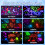 Creative cartoon starry night projector led starry night light 2