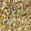 Gardeners Dream GardenersDream Duck & Goose Mix (10L) 3