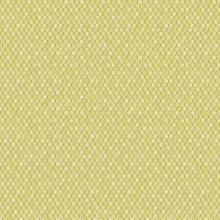 Citrus Lime Wallpaper Smooth Circular Spots Geometric Pattern Paste The Wall