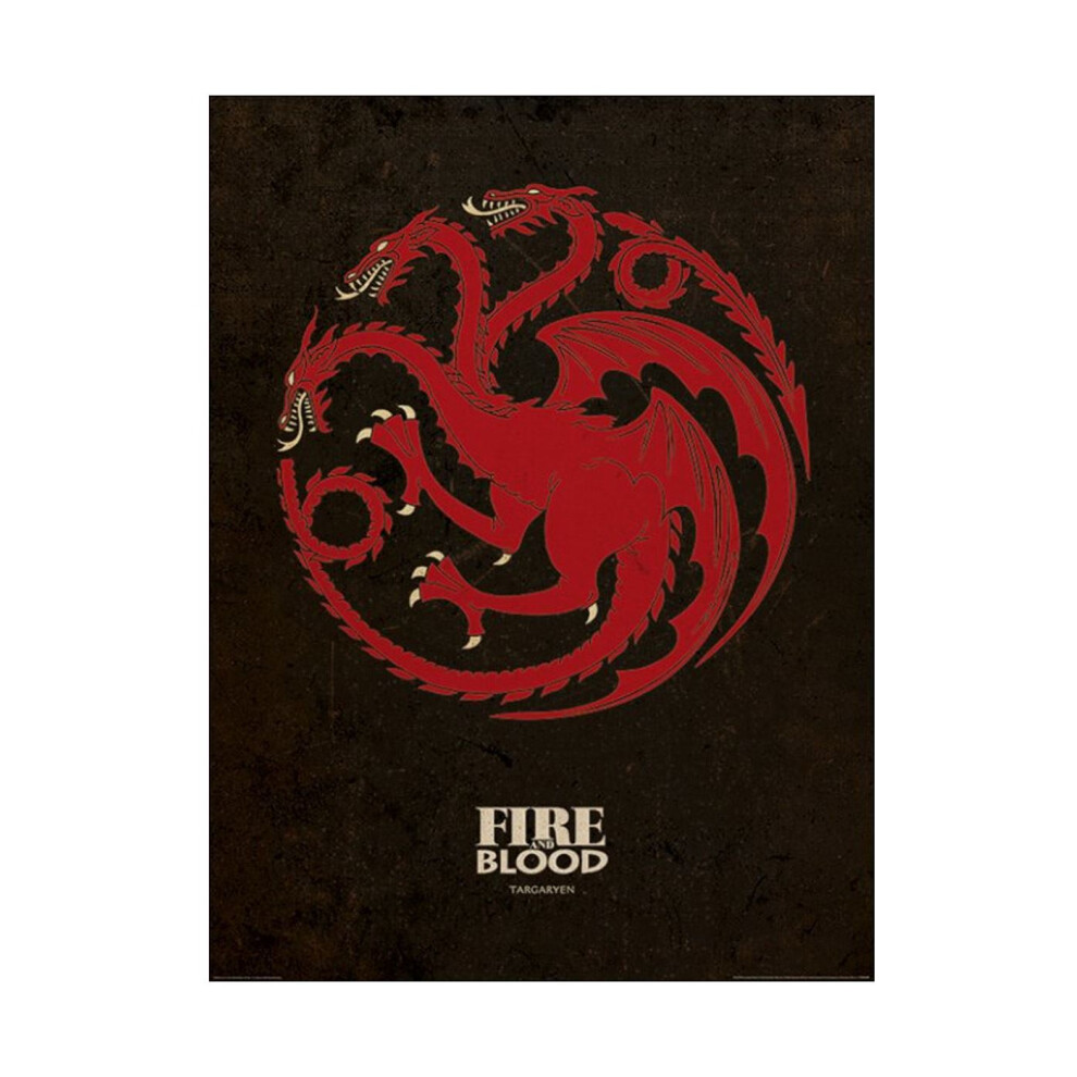 Game of Thrones Poster (Unisex Black)